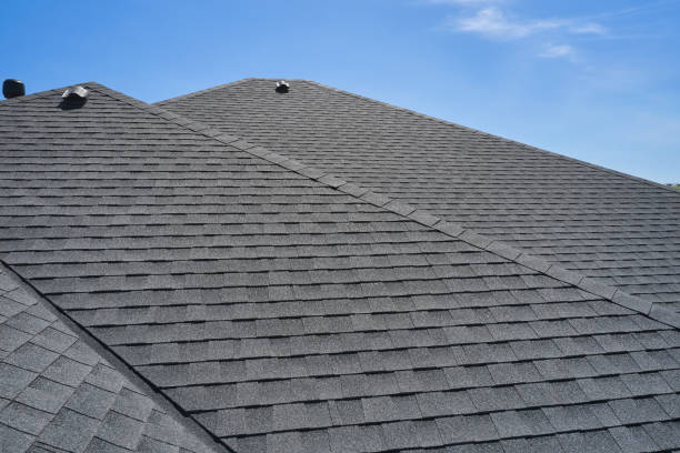 Best Sheet Metal Roofing  in Burgin, KY