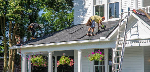 Best Roof Insulation Installation  in Burgin, KY